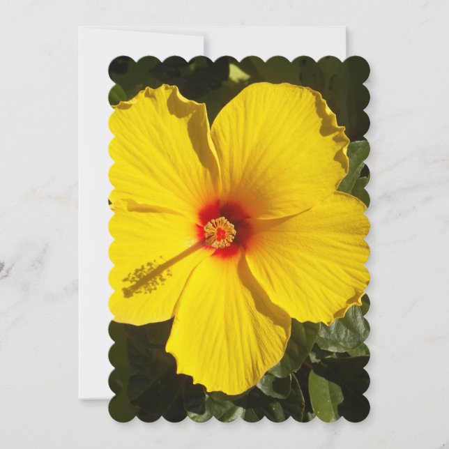 Convite Flor de Hibiscus Amarelo (Frente)