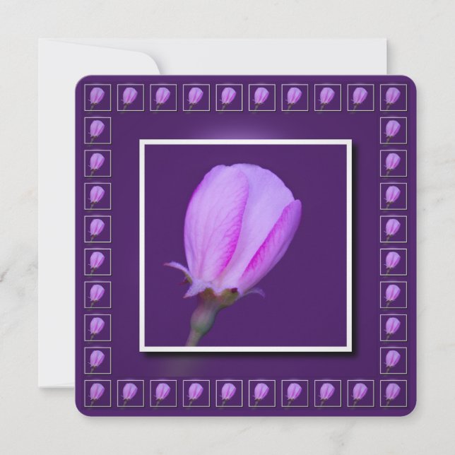 Convite Flor de Primavera rosa e púrpura (Frente)