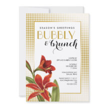 Flor Red Amaryllis Verificado Dourado