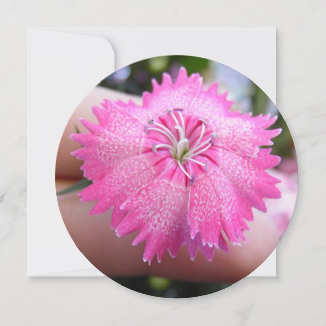 Convite Flor Rosa Brilhante Com Pontos (Frente)