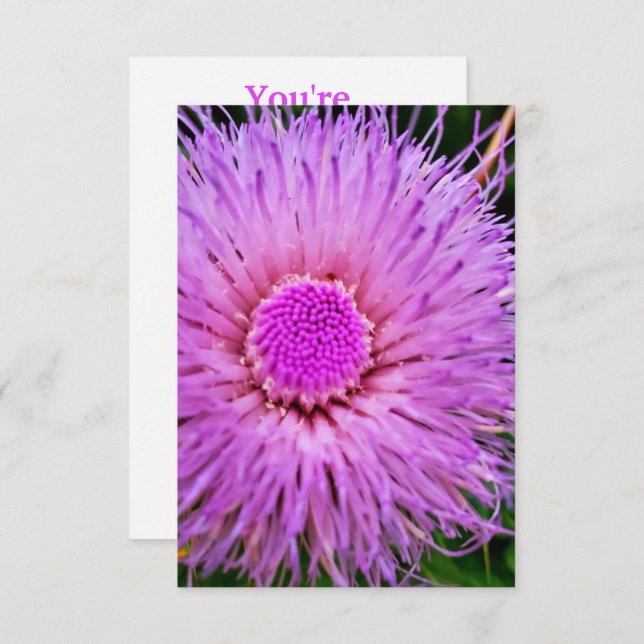 Convite Flor roxa e rosa (Frente/Verso)