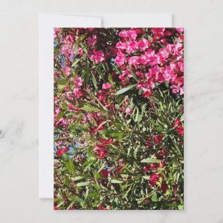 Convite Floral rosa