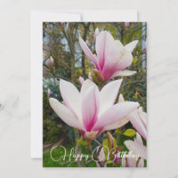 Flores de magnólia cor-de-rosa grandes.