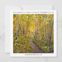 Floresta de Árvore de Aspen