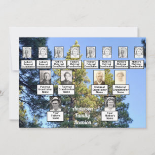 Convite Floresta de Árvore Pinheira da Família de Reuni