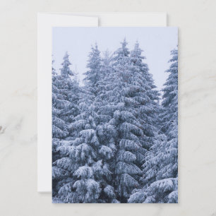 Convite Floresta de inverno mágico - azul, personalizada