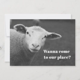 Convite Fofo de Páscoa Judaica