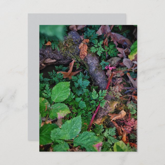 Convite Folhagem Verde (Frente/Verso)