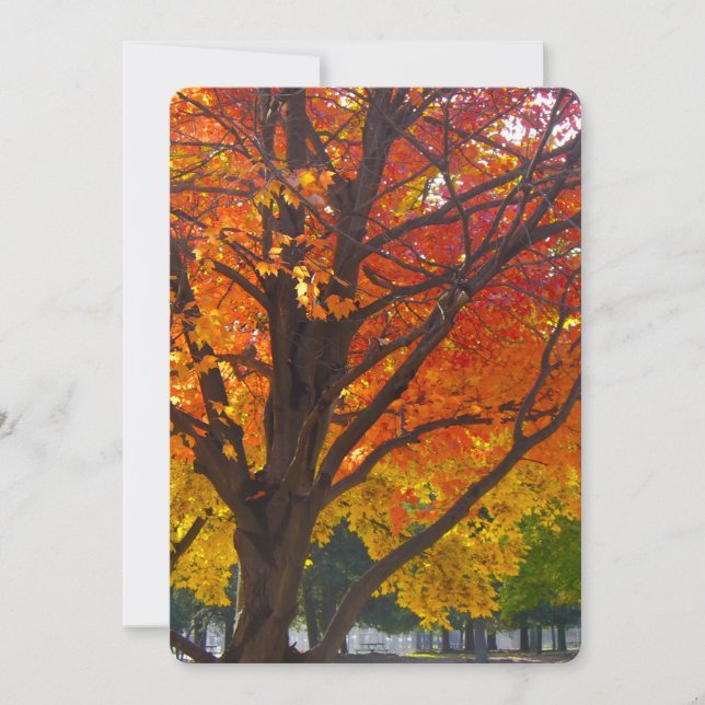 Convite Folhas de outono de laranja amarelo (Frente)