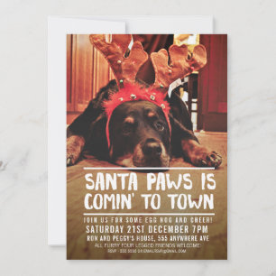CONVITE FOTO DA FESTA DOS PAPAIS NOEIS DE NATAL DO CÃO EN