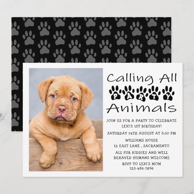 Convite Foto de Aniversário do Cão (Frente/Verso)