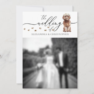 Convite Foto de casamento do cachorrinho Cavapoo marrom