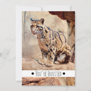 Convite foto de leopardo nebuloso natureza