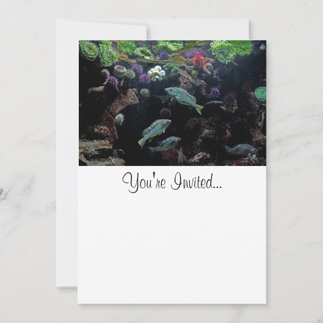 Convite Foto de Peixe e Vida Aquática Submarina (Frente)