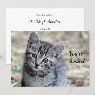 Convite Foto do dia de aniversário de Kitten Tabby