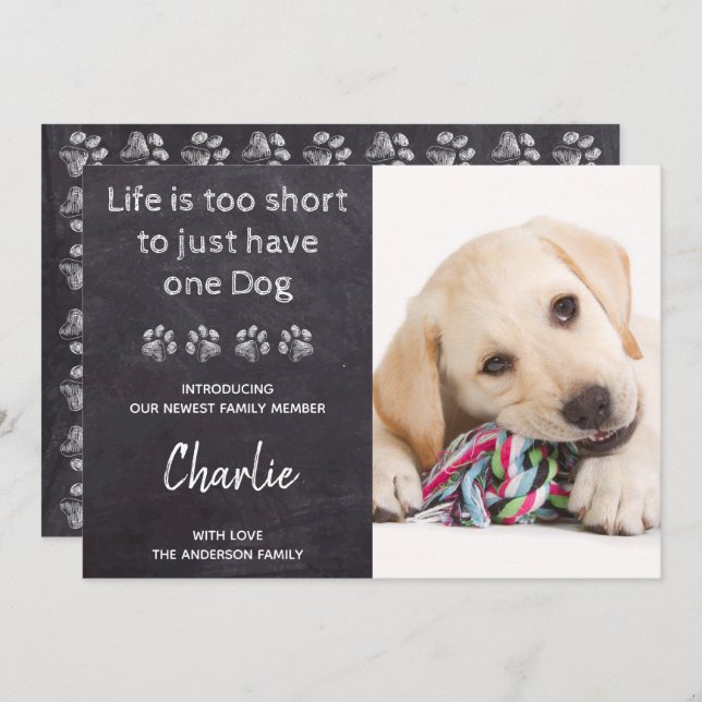 Convite Foto Personalizada Novo Chá de Cachorro de Pet (Frente/Verso)