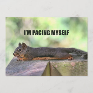 Convite Foto preguiçosa do esquilo