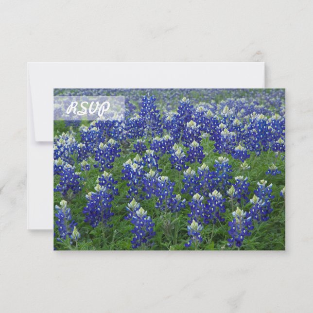 Convite Foto RSVP Texas Bluebonnets em placas pretas (Frente)