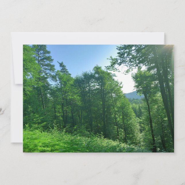 Convite Fotografia de Paisagem Verde (Frente)