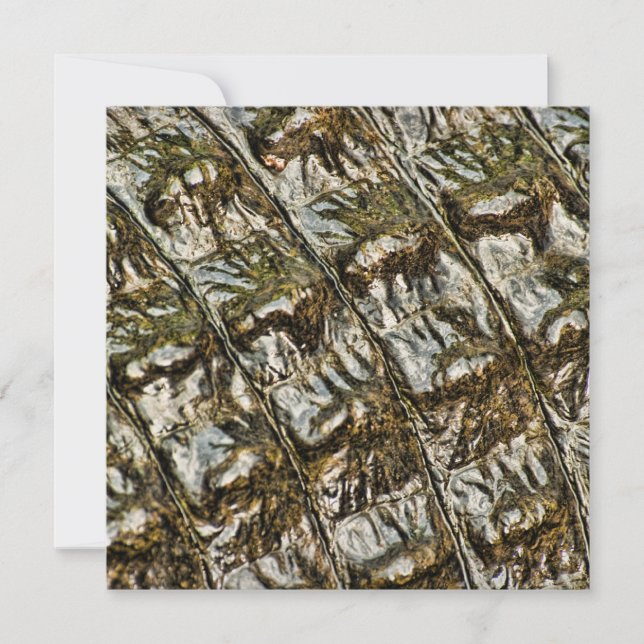 Convite Fotografia do Abstrato do Alligador Molhado (Frente)