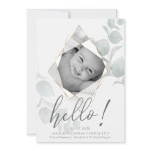 Fotografia Facultada Eucalyptus Deixa Alabastro