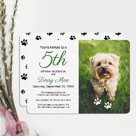 Convite Fotos de festa de aniversário de animais de estima