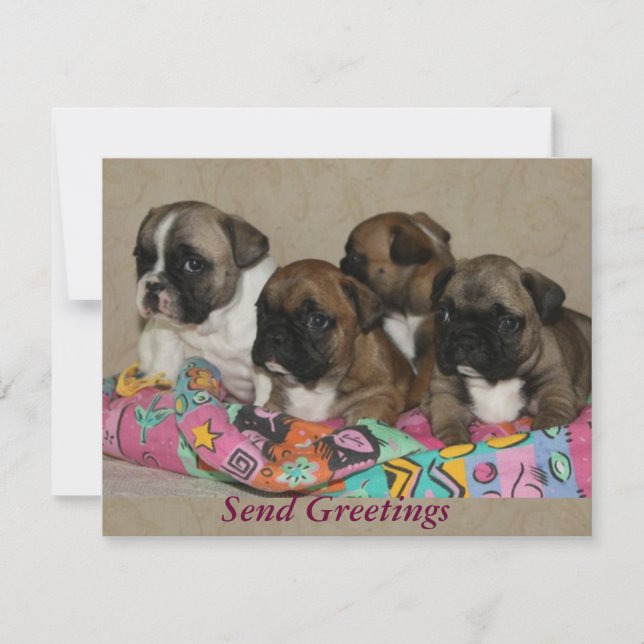 Convite Französische Bulldogge Frohe Weihnachten (Frente)