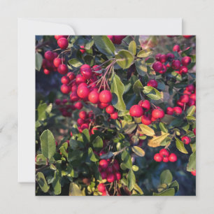 Convite Fruta de outono