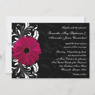 Convite Fuchsia Scroll Gerbera Daisy com preto e branco