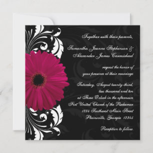 Convite Fuchsia Scroll Gerbera Daisy w/Black and White