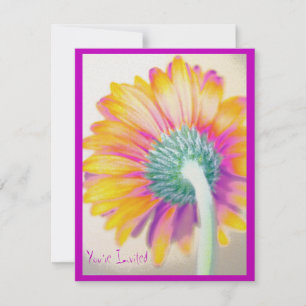 Convite Funky Gerbera