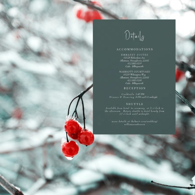 Convite Gabinete de Detalhes do Casamento Teal (Criador carregado)