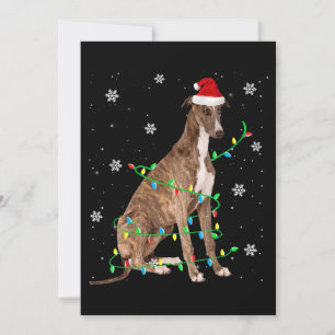 Convite galgo luz de natal santa fofo galgo