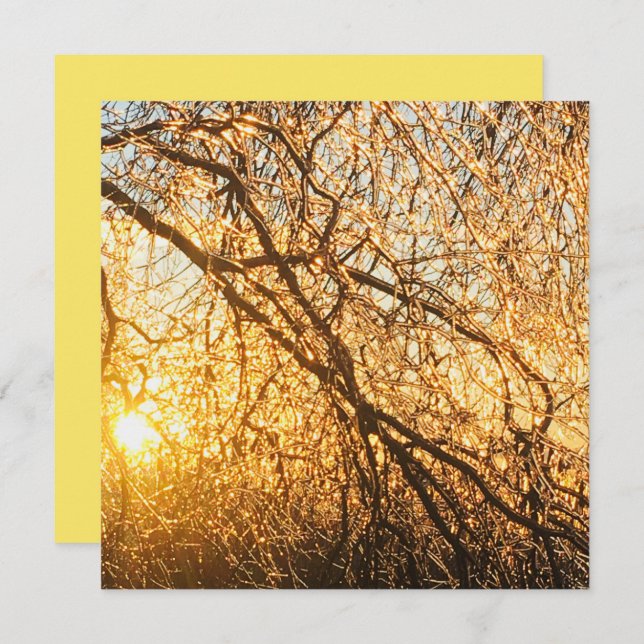 Convite galhos de pingente de gelo ao pôr do sol (Frente/Verso)