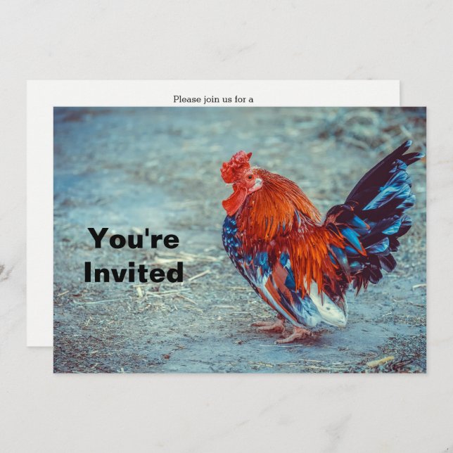 Convite Galinha Colorida Foto de Galo Aniversário (Frente/Verso)
