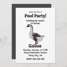 Ganso Procurando Água Para Nadar Ganso Africano