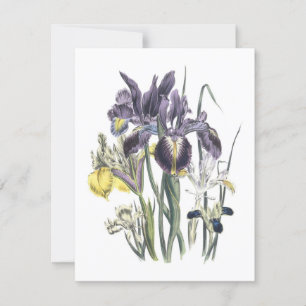 Convite Garden Luncheon