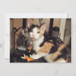 Convite Gatinho Calico com Presente de Peixe para Você Car