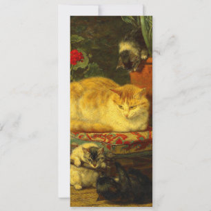 Convite Gatinhos ao Brincar