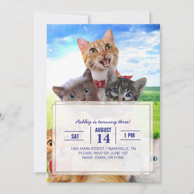 Convite Gatinhos engraçados em campo verde. (Frente)