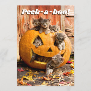 Convite Gatinhos na Abóbora de Halloween