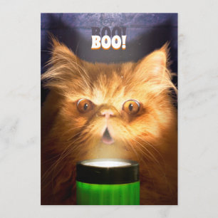 Convite Gato com lanterna