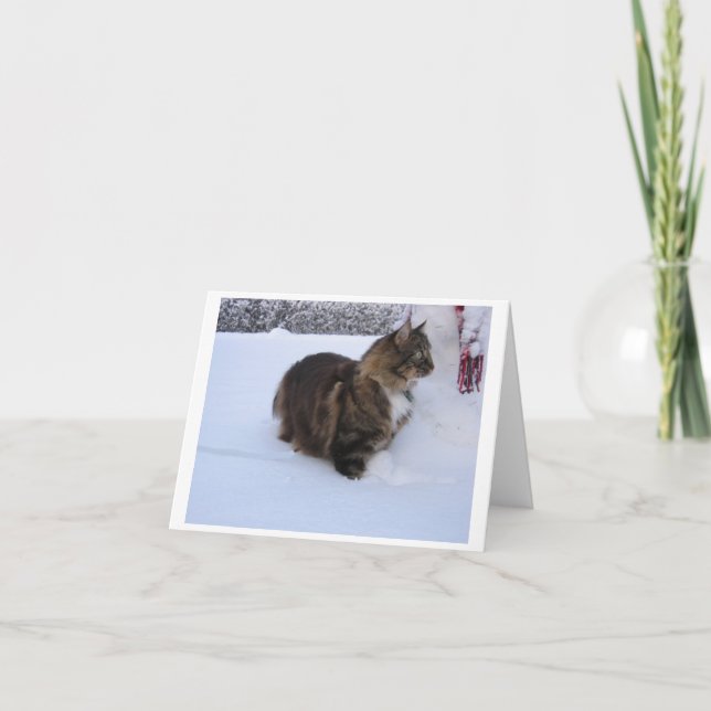 Convite gato da floresta norueguesa na neve (Frente)