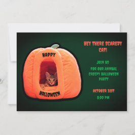 Convite Gato de Gato Verde Laranja Pumpkin Kitten Hallowee