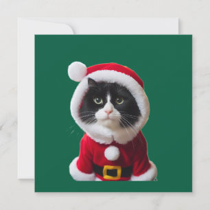 Convite Gato de Natal bonito
