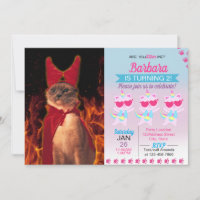 Gato engraçado com fantasia de diabo de Halloween