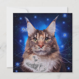 Convite Gato Main Coon Fundo Azul Estrelas