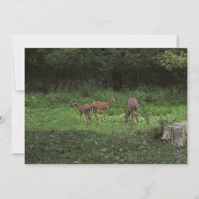 Convite Gêmeos e seu Mama (Frente)