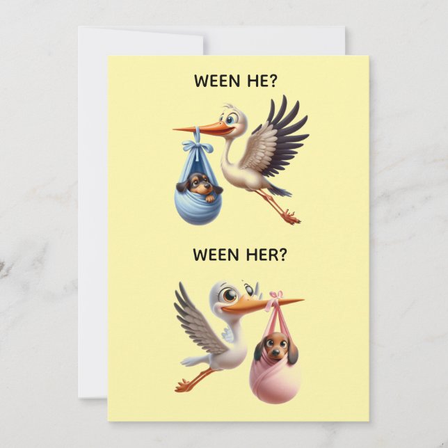 CONVITE GENDER REVEAL PARTY (Frente)