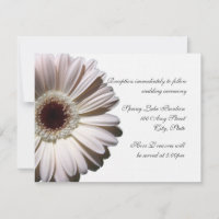 Gerber Daisy Wedding
